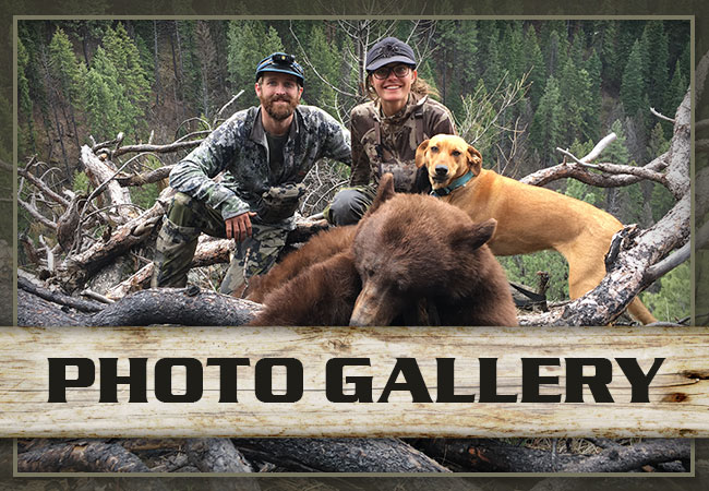 Ready Outfitters LLC Photo Galleries